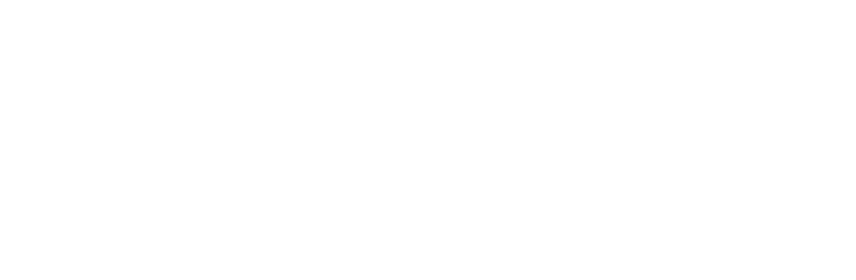 Arts Council of Ireland