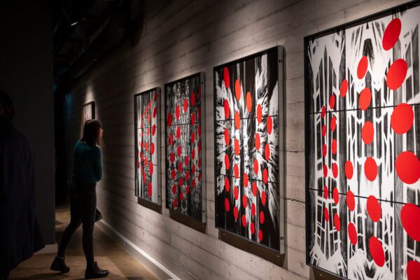 AS IF launch night at the Image Museum ©Brian Cregan