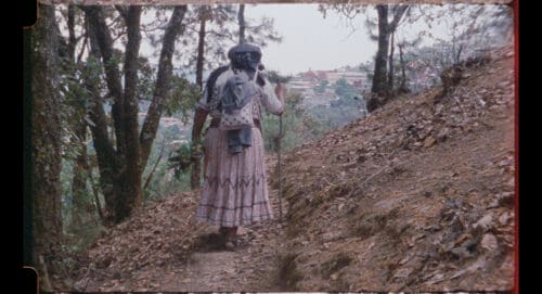 Elena Pardo, Por dentro somos color (On the Inside We are Color), 2024