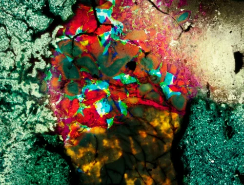 Still from Landfill 16 by Jennifer Reeves, 2010-11. Courtesy of Lightcone