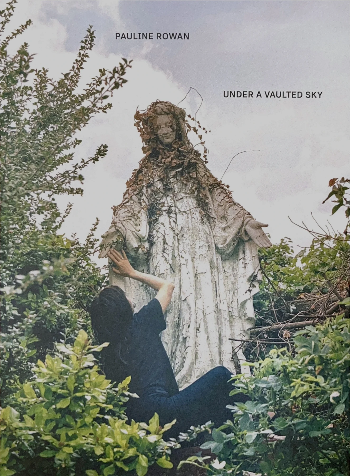Under a Vaulted Sky Pauline Rowan
